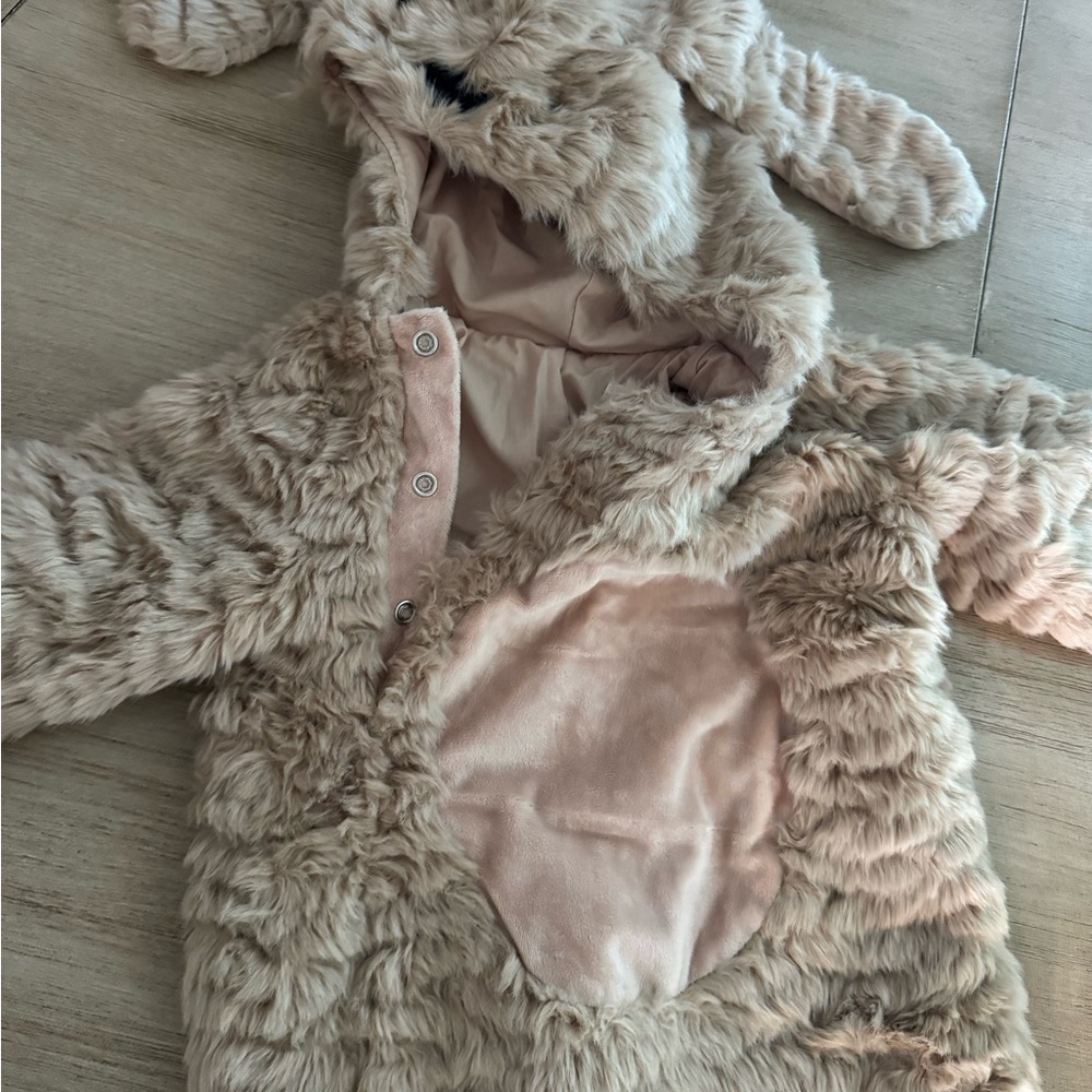 Pottery Barn Puppy Costume
